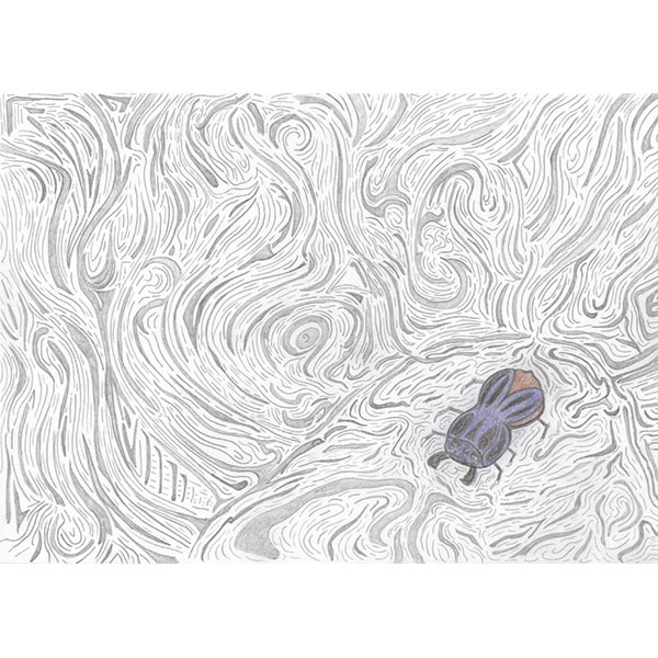 Der Blaublutkäfer in seiner Höhle, der nach eigenem Ermessen das blaue Blut verteilt. Ein Bild das ein Kribbeln auslöst.